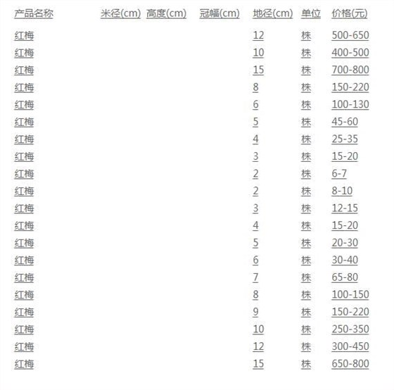 红梅价格表