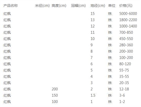 红枫价格表