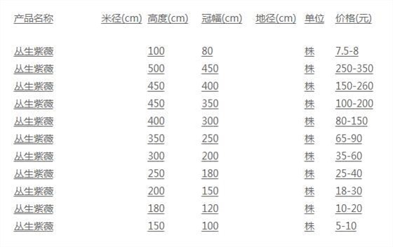 丛生紫薇价格表