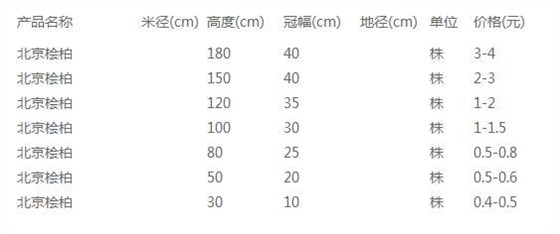 北京桧柏价格表