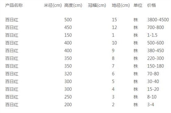 百日红价格表