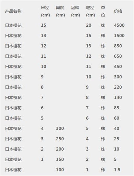 日本樱花价格表
