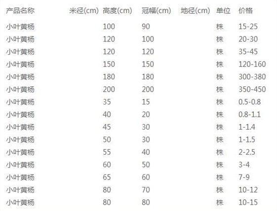 小叶黄杨价格表