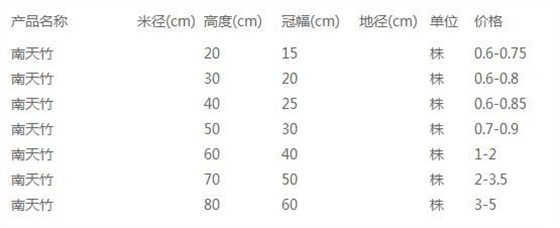 南天竹