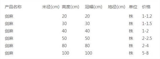 剑麻价格表