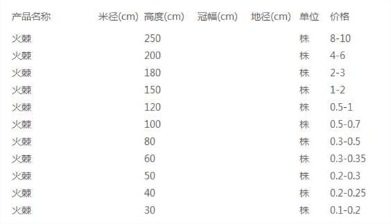 火棘苗价格表