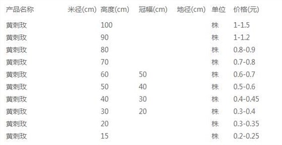 黄刺玫价格表