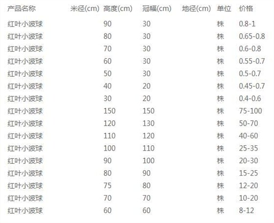 红叶小波球价格表