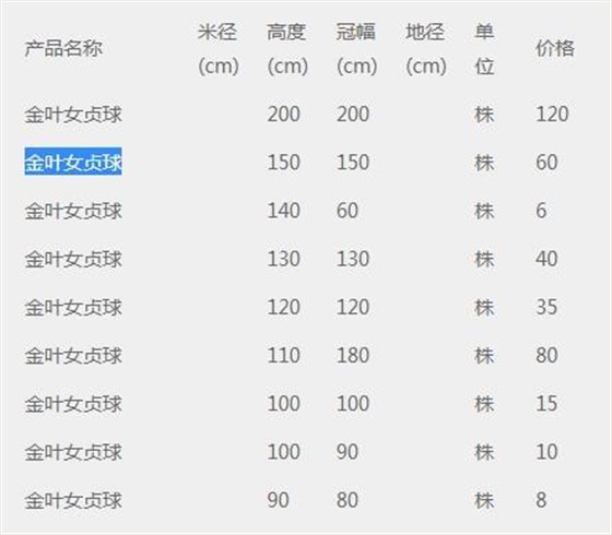 金叶女贞球