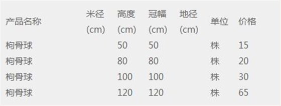 枸骨球价格表