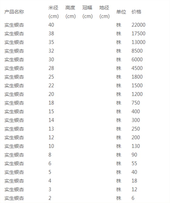 实生银杏价格表