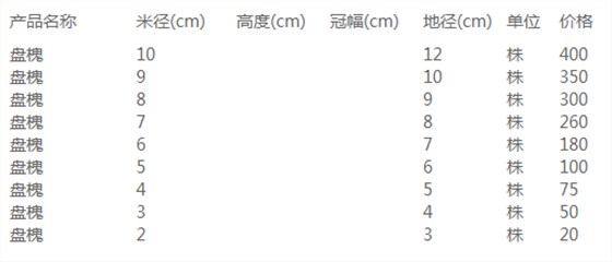 盘槐价格表