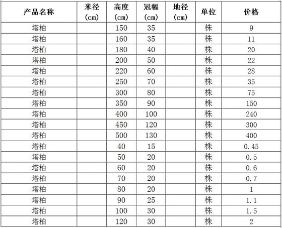 塔柏价格表