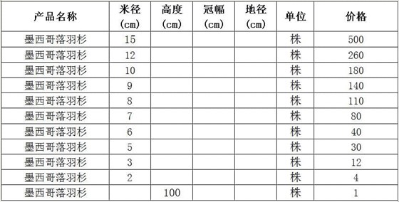 墨西哥落羽杉价格表
