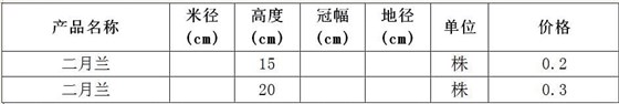 二月兰价格表