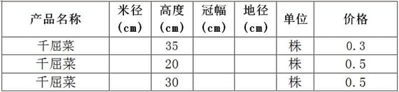 千屈菜价格表