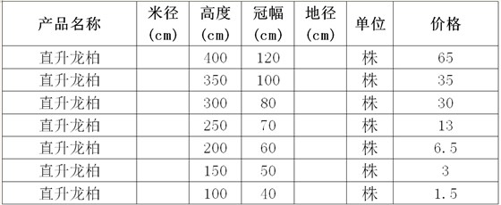 直升龙柏价格表