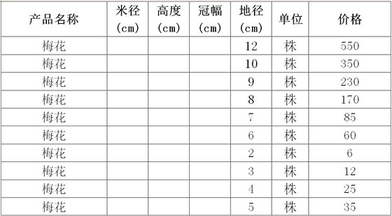 梅花价格表