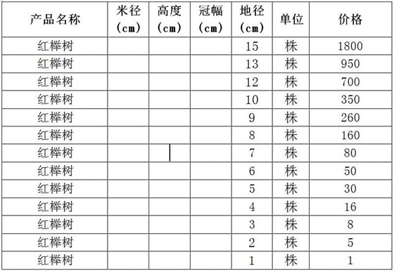 红榉树价格表