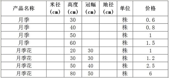 月季苗价格表