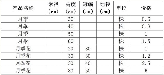 月季，月季花价格表