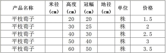 平枝荀子价格表