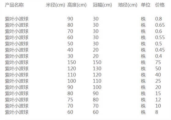 紫叶小波球价格表