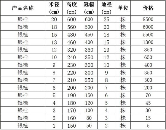 银桂价格表