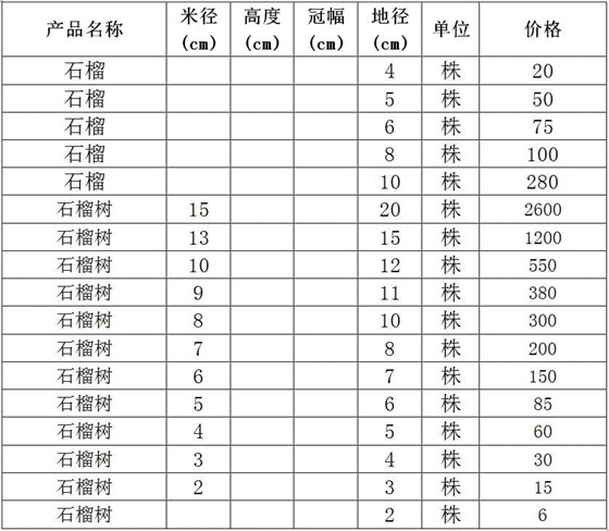 石榴 石榴树价格表