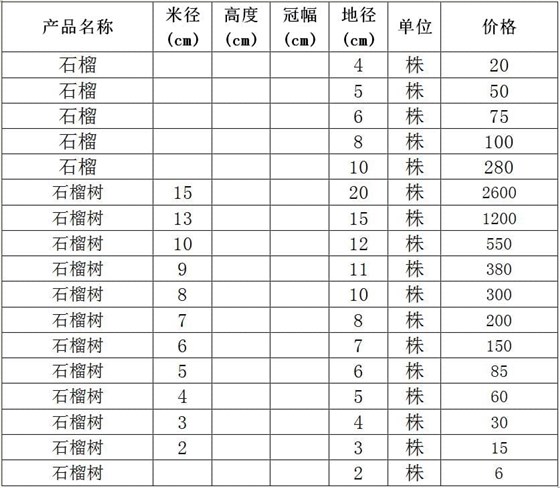 石榴树价格表