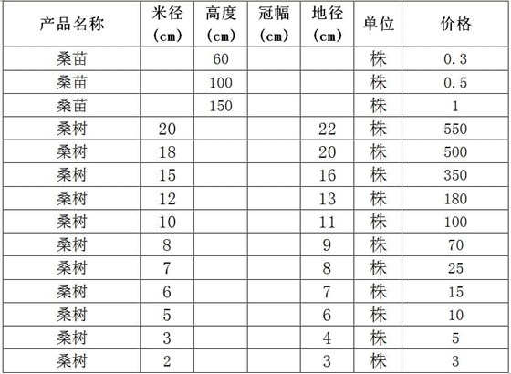 桑树苗价格表