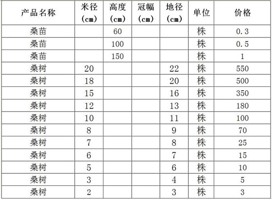 桑树苗价格表