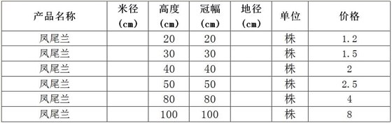 凤尾兰价格表