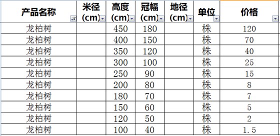 龙柏树价格表