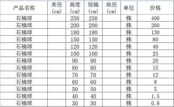 石楠球价格