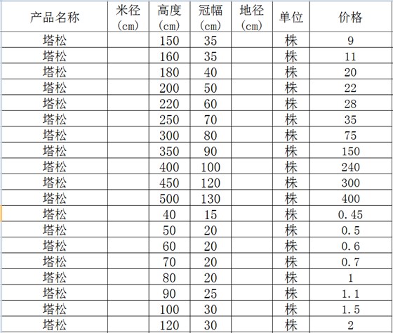 塔松价格表