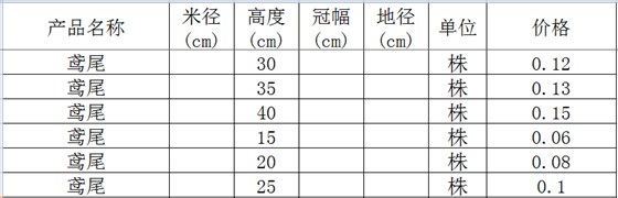 鸢尾价格表