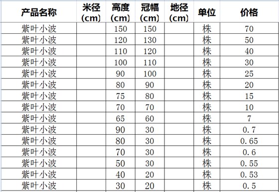 紫叶小波价格