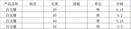 白玉簪价格表