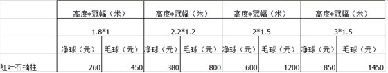 2018红叶石楠柱价格表
