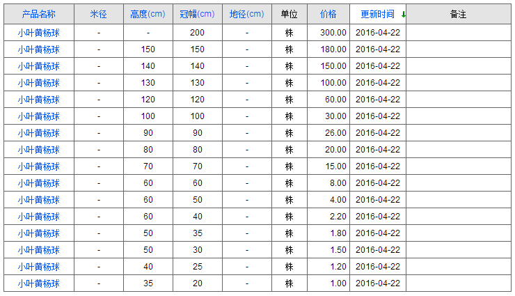 小叶黄杨球
