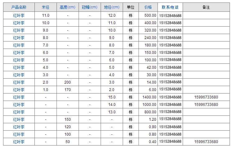 红叶李