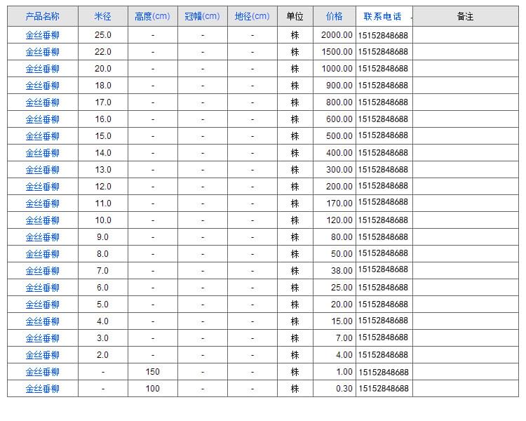 金丝垂柳1