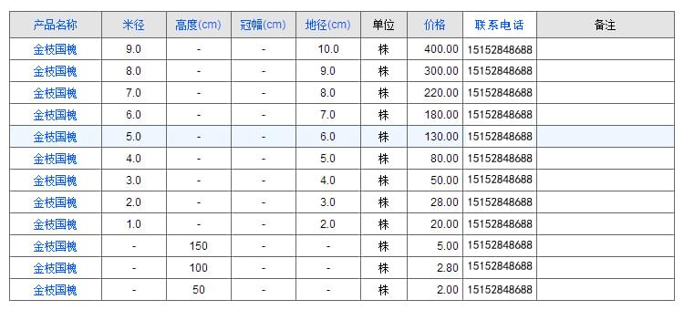 金枝国槐