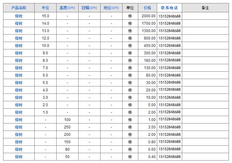 榉树