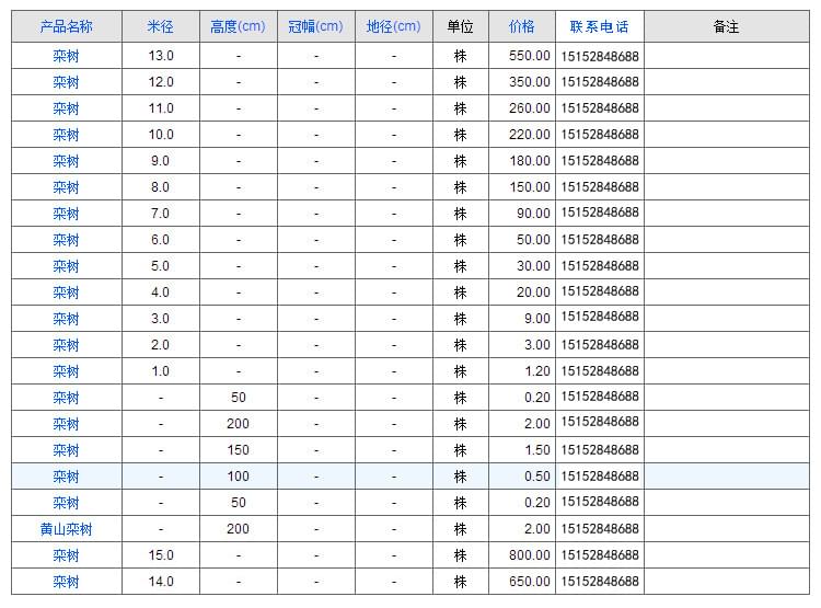 栾树2