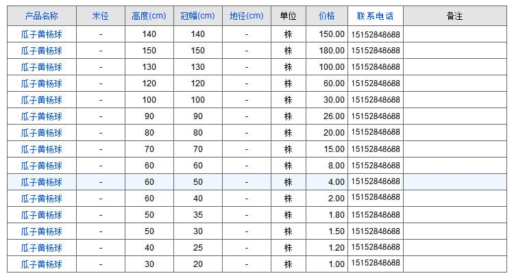 瓜子黄杨球