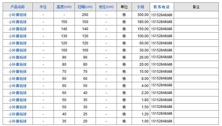 小叶黄杨球