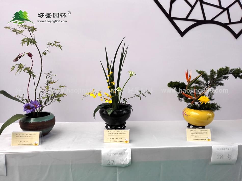 园艺中心展馆-参展图14