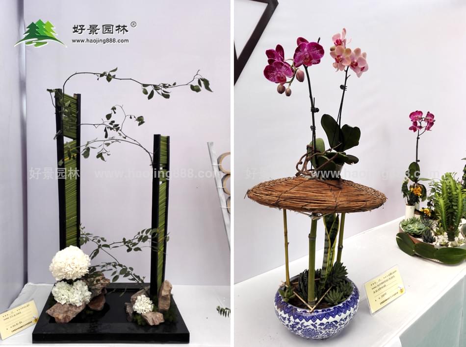 园艺中心展馆-参展图17